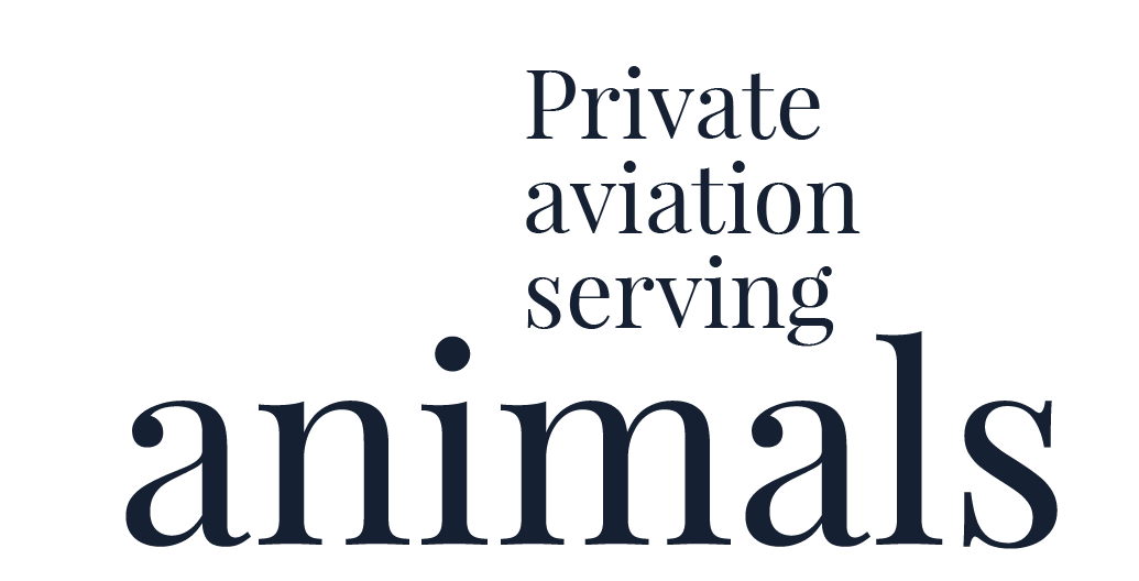 Flying with Pets