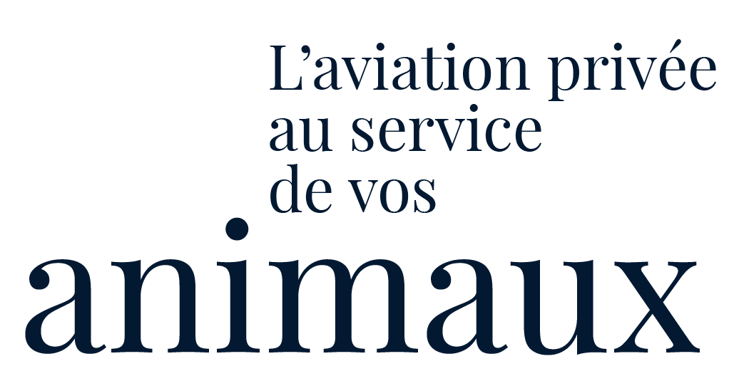 Louer un jet privé avec IBC Aviation