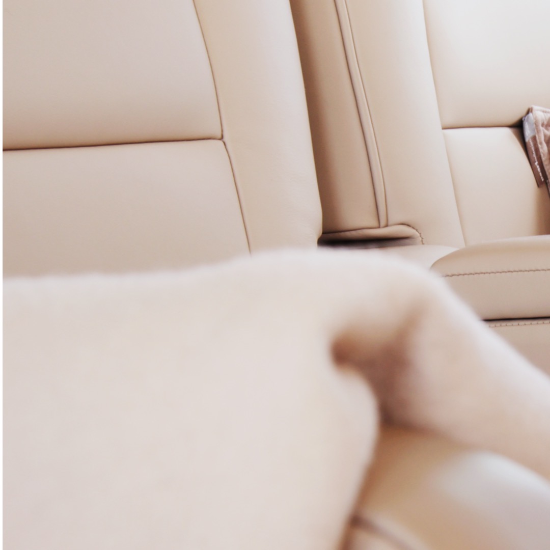 Private Jet Acquisition