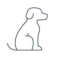 Voyager avec vos animaux