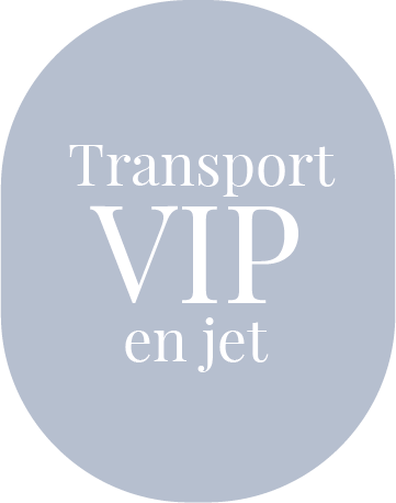 Organisation de voyage de groupe avec IBC Aviation