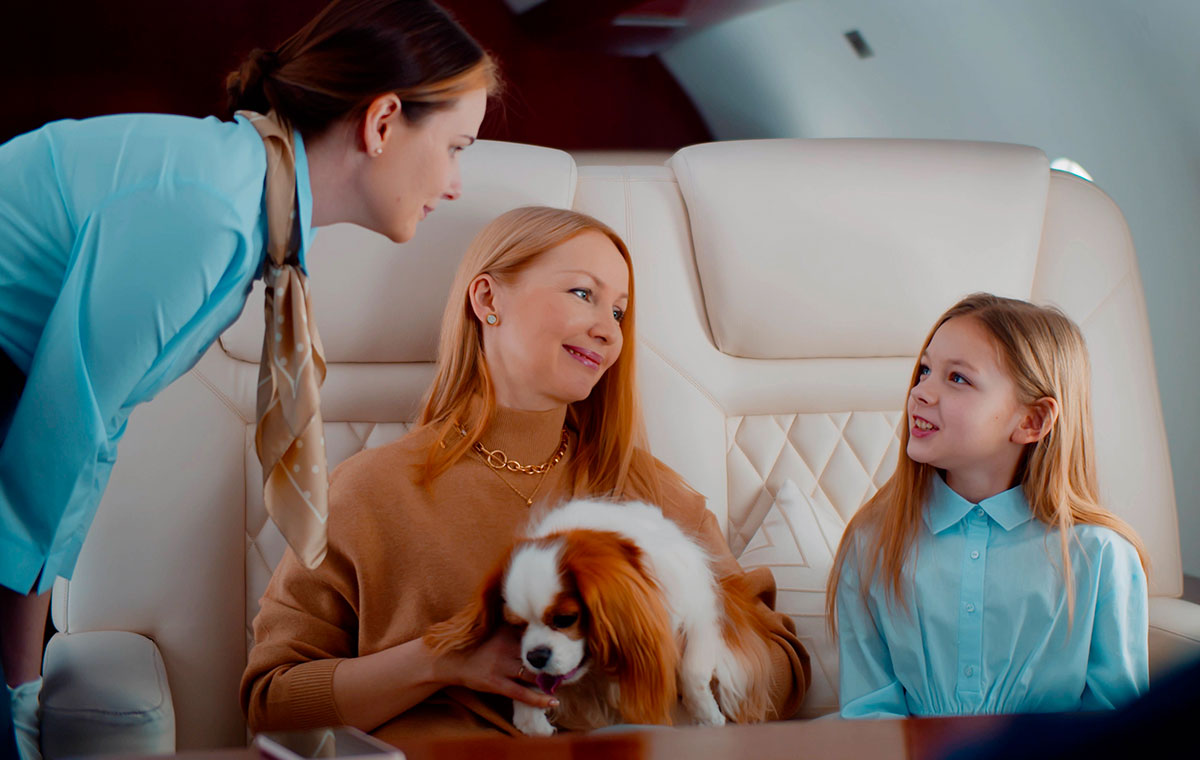 Traveling with Pets